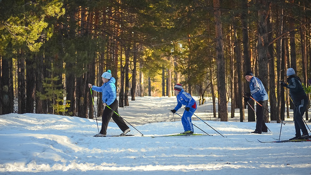 Fyra personer åker längdskidor i skogen.
